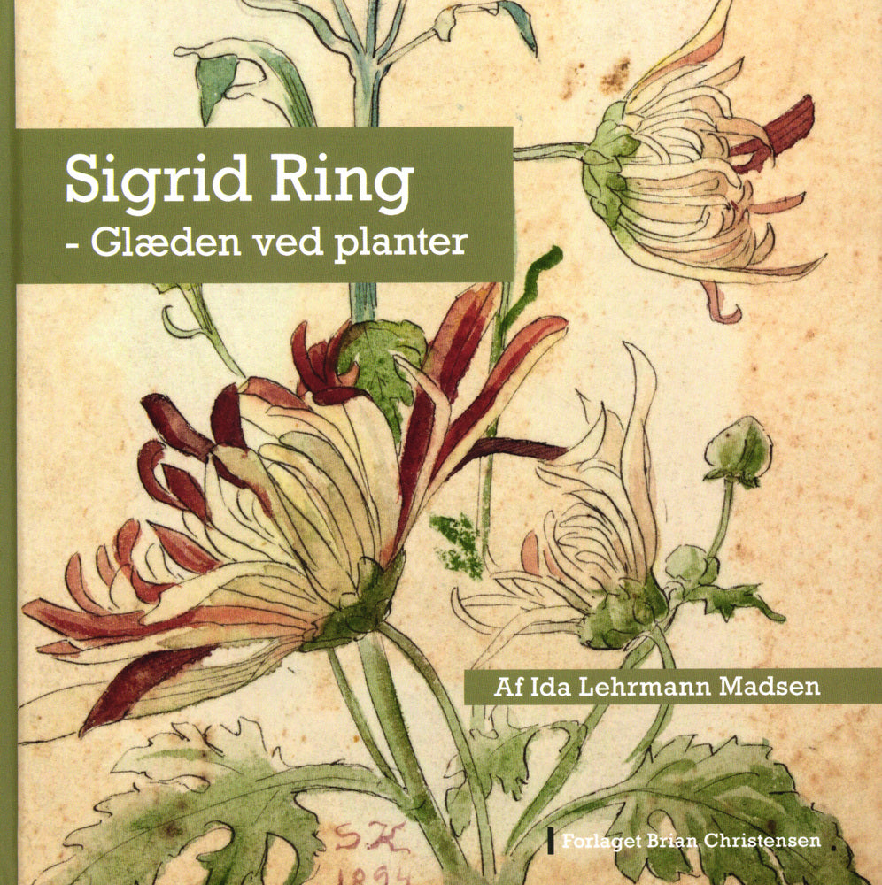Sigrid Ring