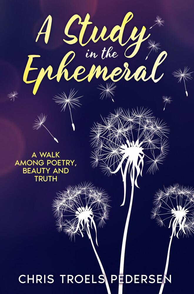 A Study in the Ephemeral