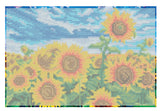 Diamond Art Solsikkemark lærred 20 x 30 cm
