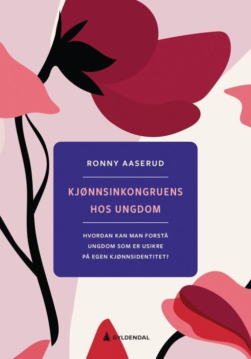 Kjønnsinkongruens hos ungdom : hvordan kan man forstå ungdom som er usikre på egen kjønnsidentitet?