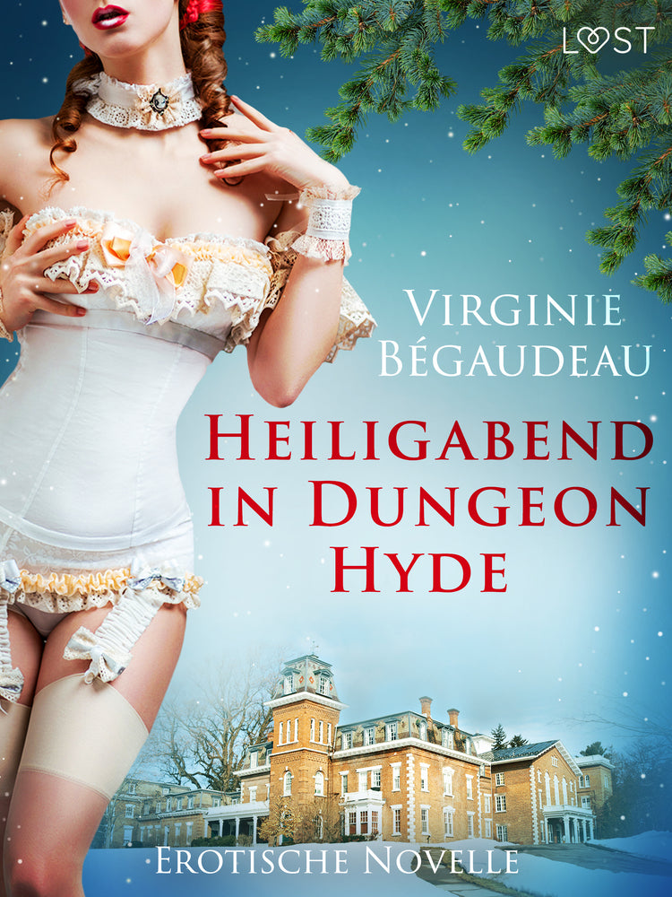 Heiligabend in Dungeon Hyde - Erotische Novelle