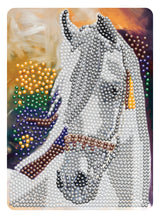 Diamond Art Hest 13 x 18 cm