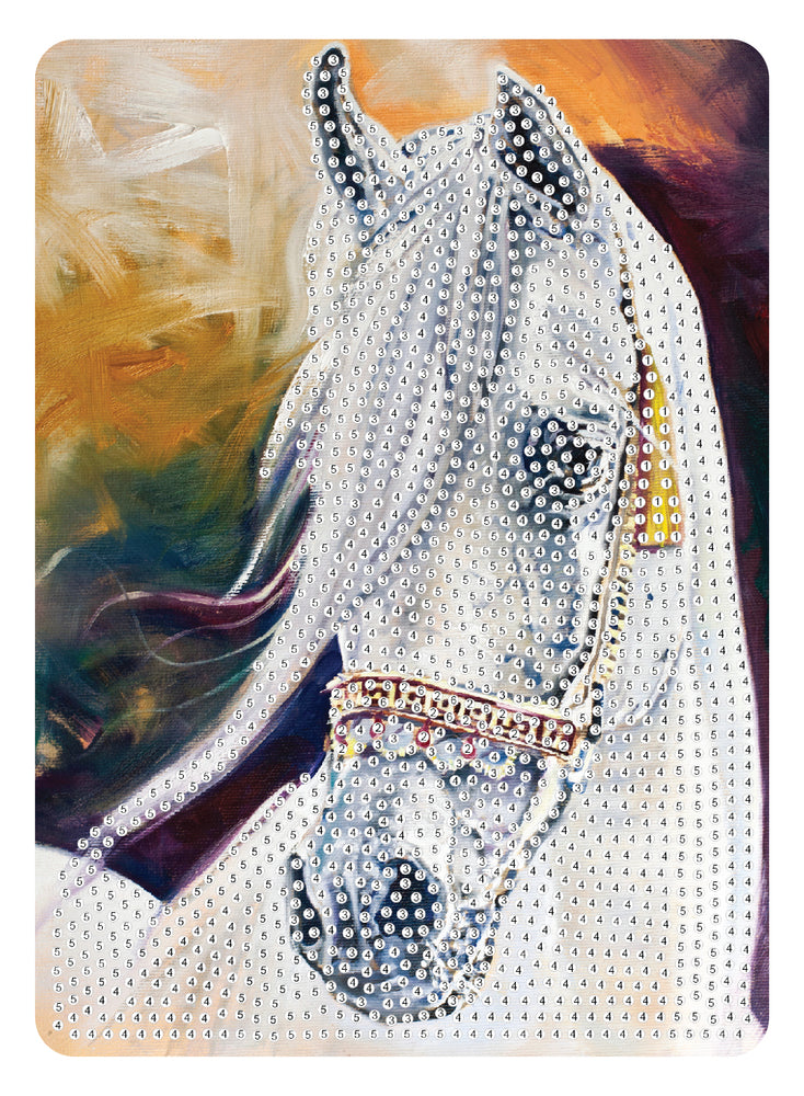 Diamond Art Hest 13 x 18 cm