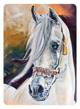 Diamond Art Hest 13 x 18 cm