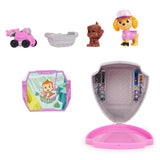 Paw Patrol Big Trucks Hero Pups Asst.