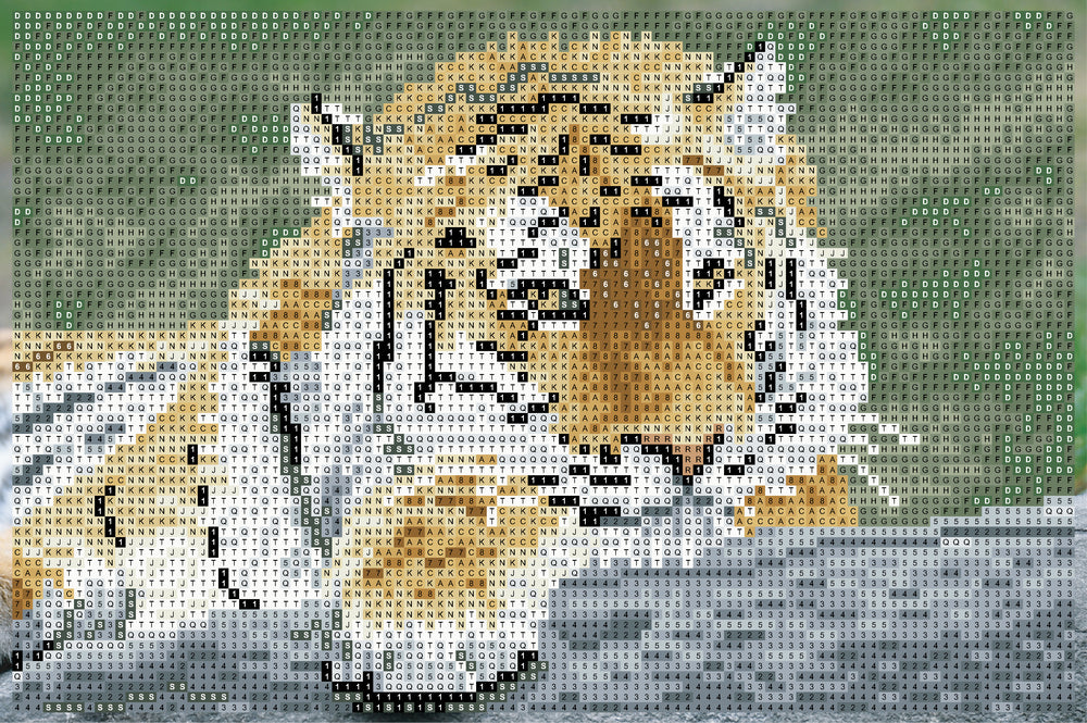 Diamond Art Tiger 20 x 30 cm