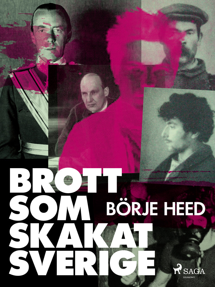 Brott som skakat Sverige