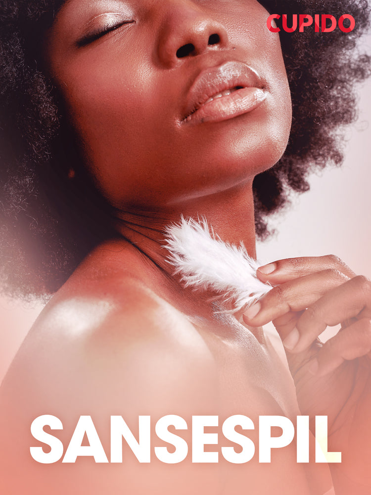 Sansespil - erotisk novelle