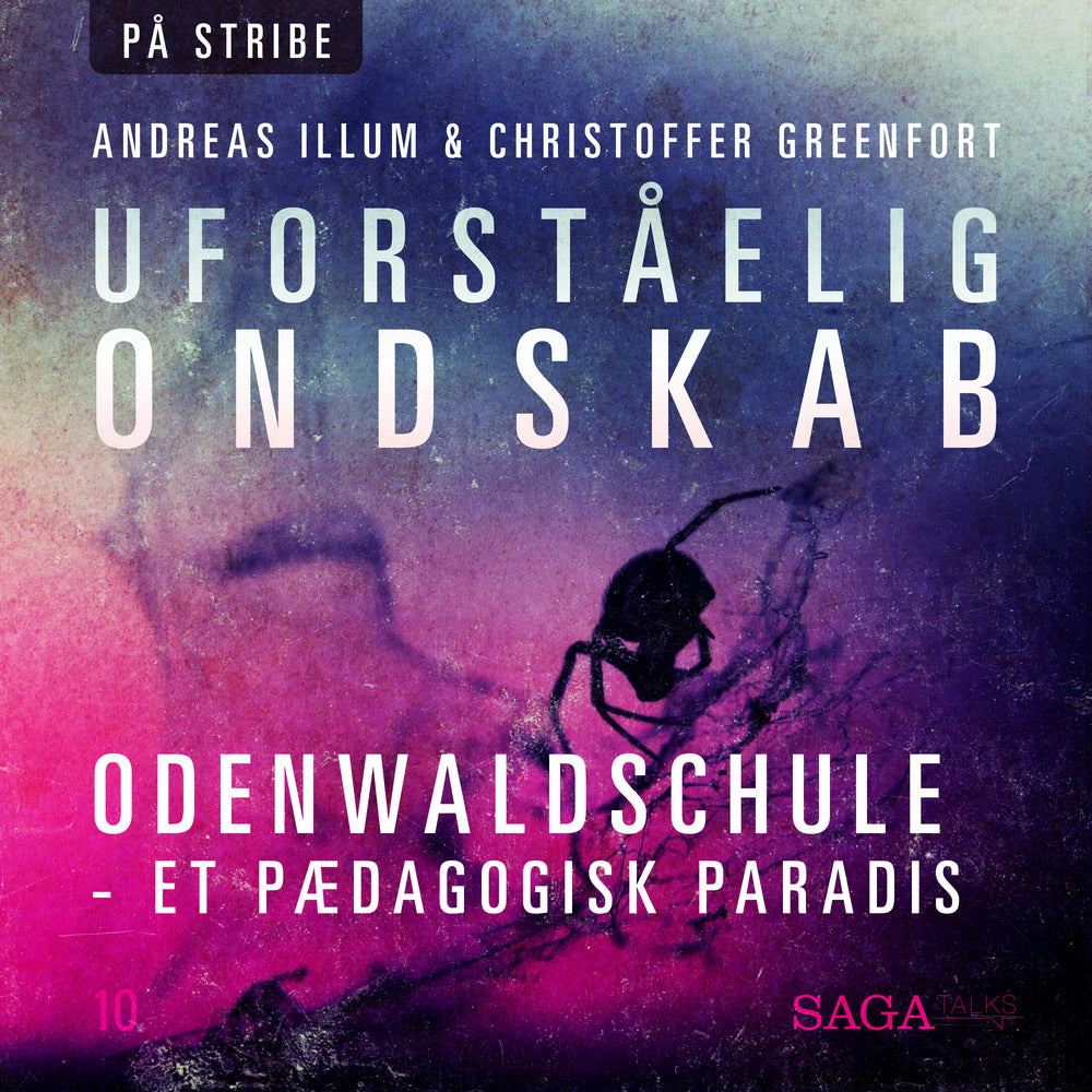 Uforståelig ondskab - Odenwaldschule - Et Pædagogisk Paradis
