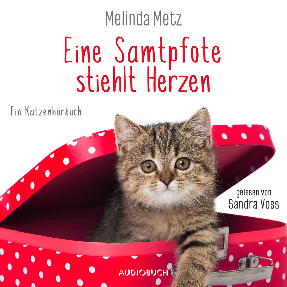 Eine Samtpfote stiehlt Herzen