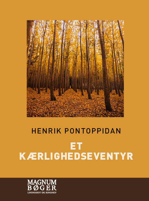 Et kærlighedseventyr (Storskrift)