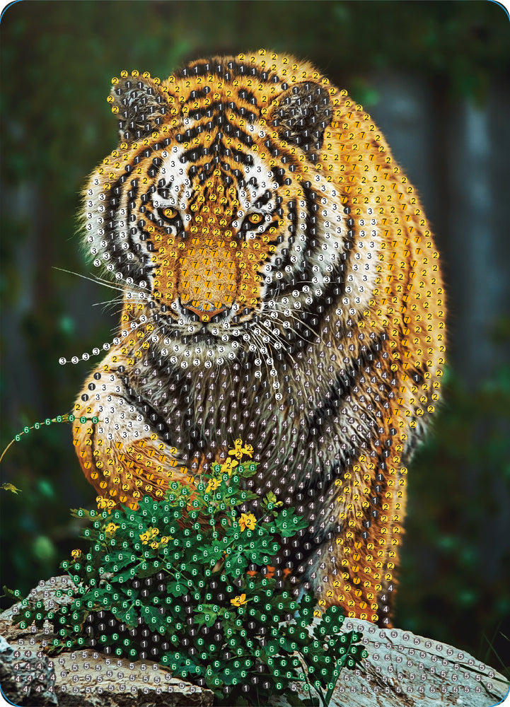 Diamond Art tiger 13 x 18 cm
