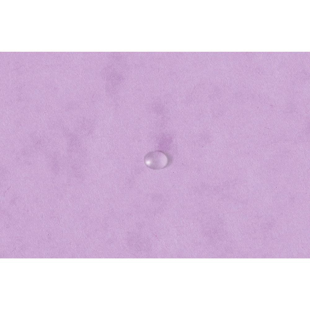 D2 Elastikmappe Exacompta pastel lilla