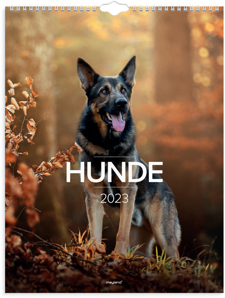 Vægkalender hunde 2023 Mayland