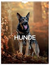 Vægkalender hunde 2023 Mayland