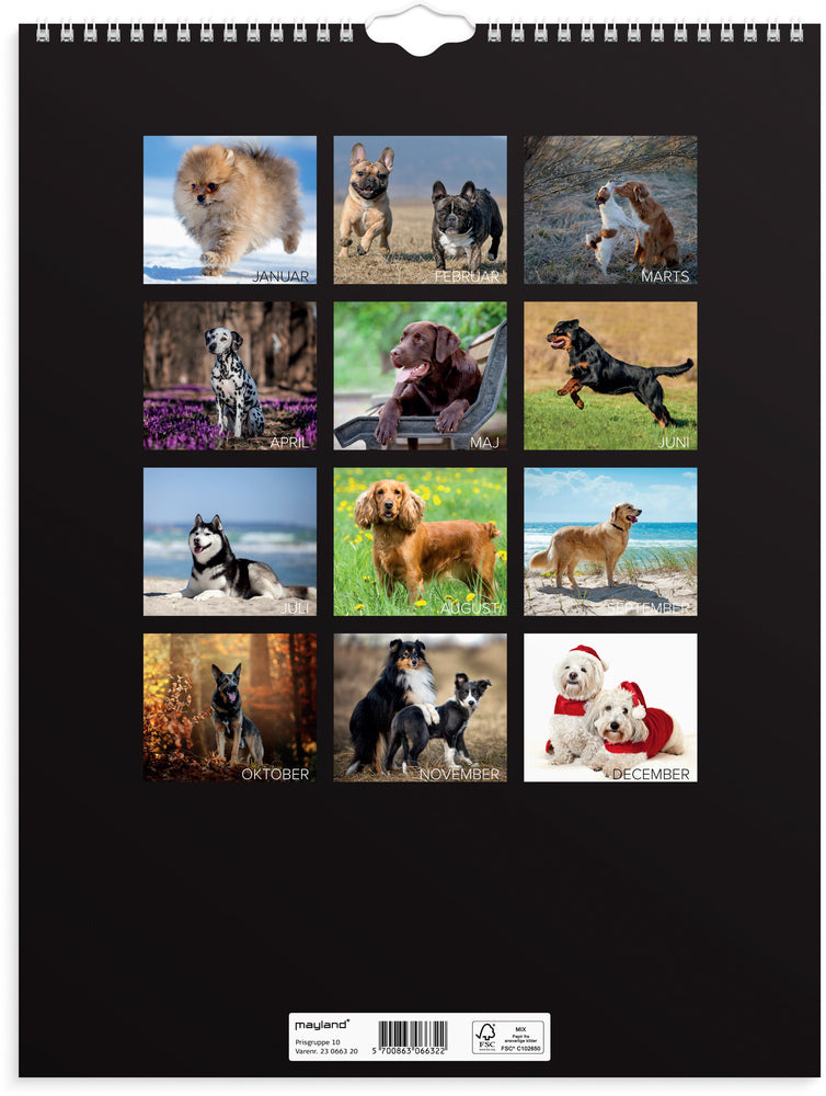 Vægkalender hunde 2023 Mayland