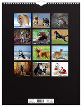 Vægkalender hunde 2023 Mayland