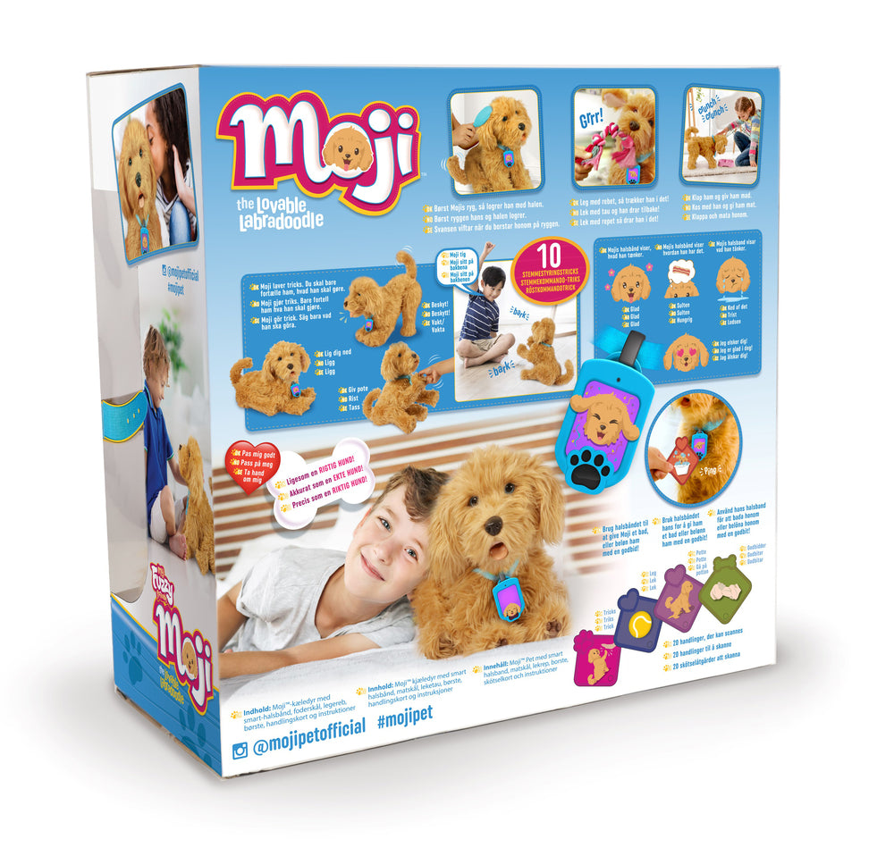 Moji the Lovable Labradoodle
