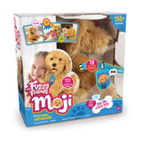 D2 Moji the Lovable Labradoodle