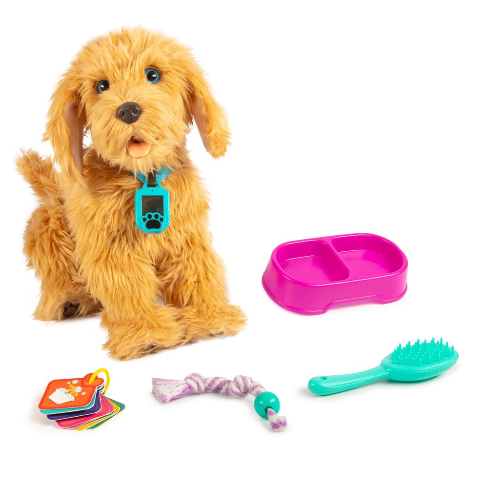D2 Moji the Lovable Labradoodle