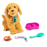 D2 Moji the Lovable Labradoodle