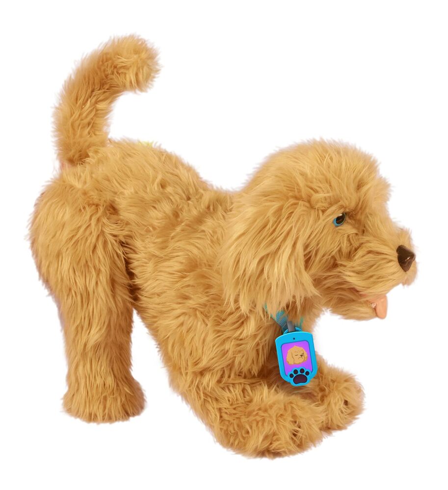 D2 Moji the Lovable Labradoodle