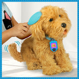 D2 Moji the Lovable Labradoodle