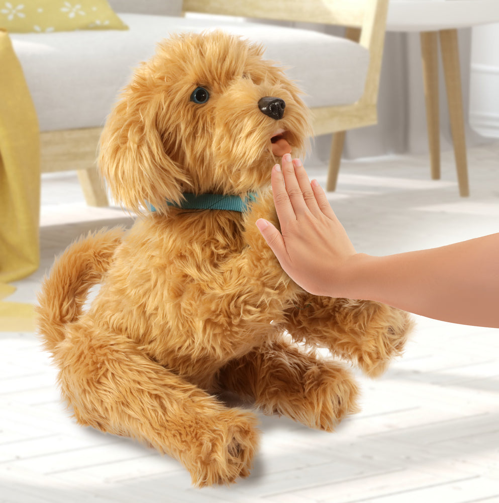 D2 Moji the Lovable Labradoodle