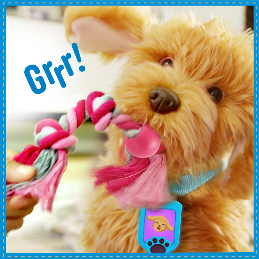 D2 Moji the Lovable Labradoodle