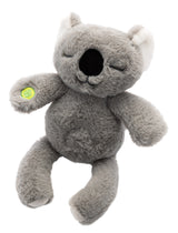 Tæppe og koala med musik