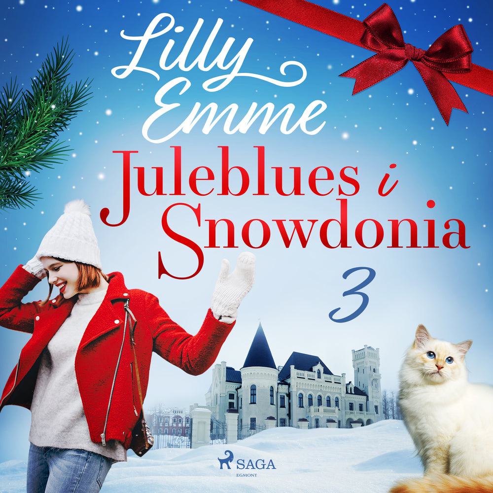 Juleblues i Snowdonia: 3