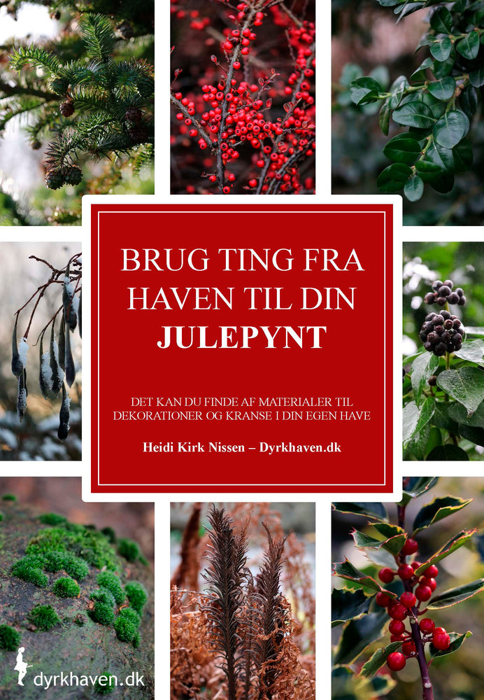 Brug ting fra haven til din julepynt