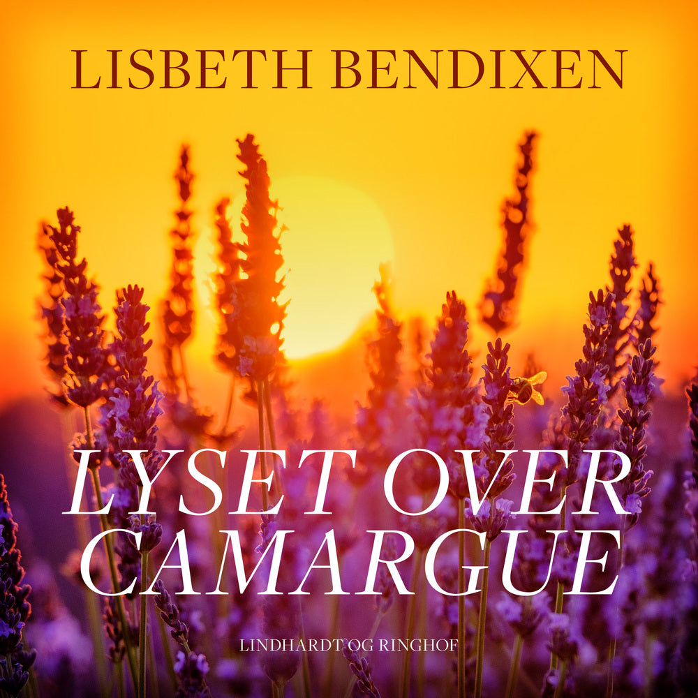 Lyset over Camargue