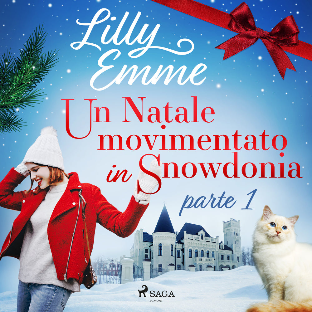 Un Natale movimentato in Snowdonia – parte 1