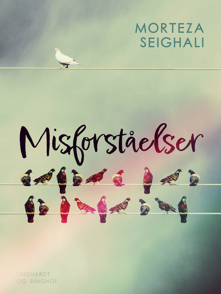 Misforståelser