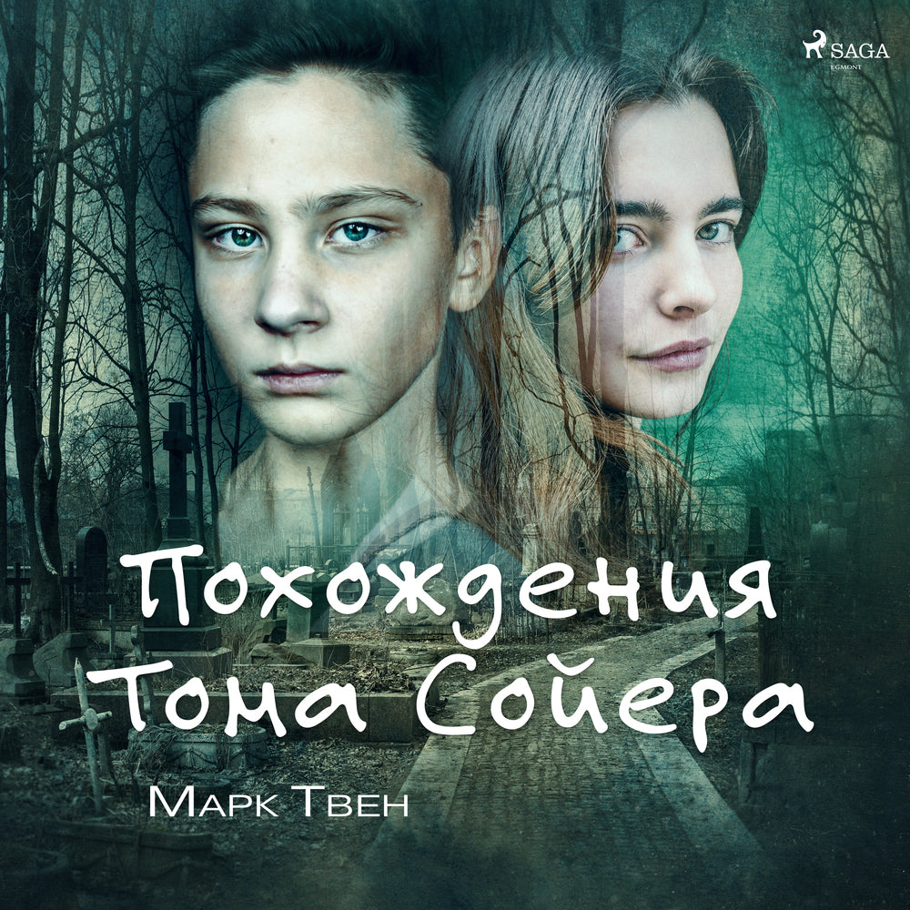 Похождения Тома Сойера