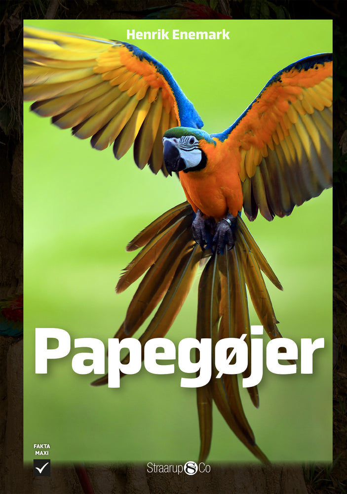 Papegøjer