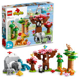 10974 LEGO DUPLO Town Asiens Vilde Dyr