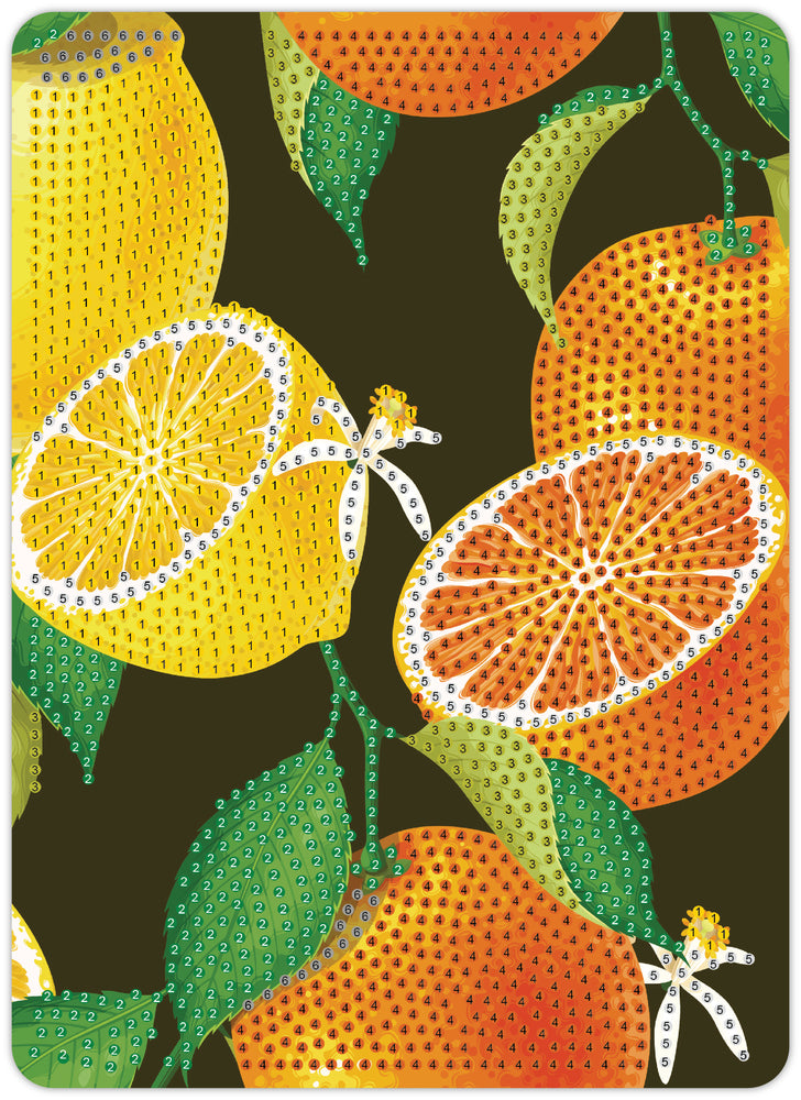 Diamond Art citrusfrugter 13 x 18 cm