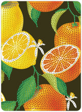 Diamond Art citrusfrugter 13 x 18 cm