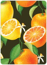 Diamond Art citrusfrugter 13 x 18 cm