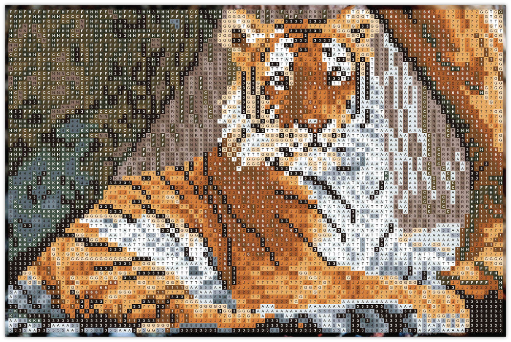 Diamond Art tiger lærred 20 x 30 cm