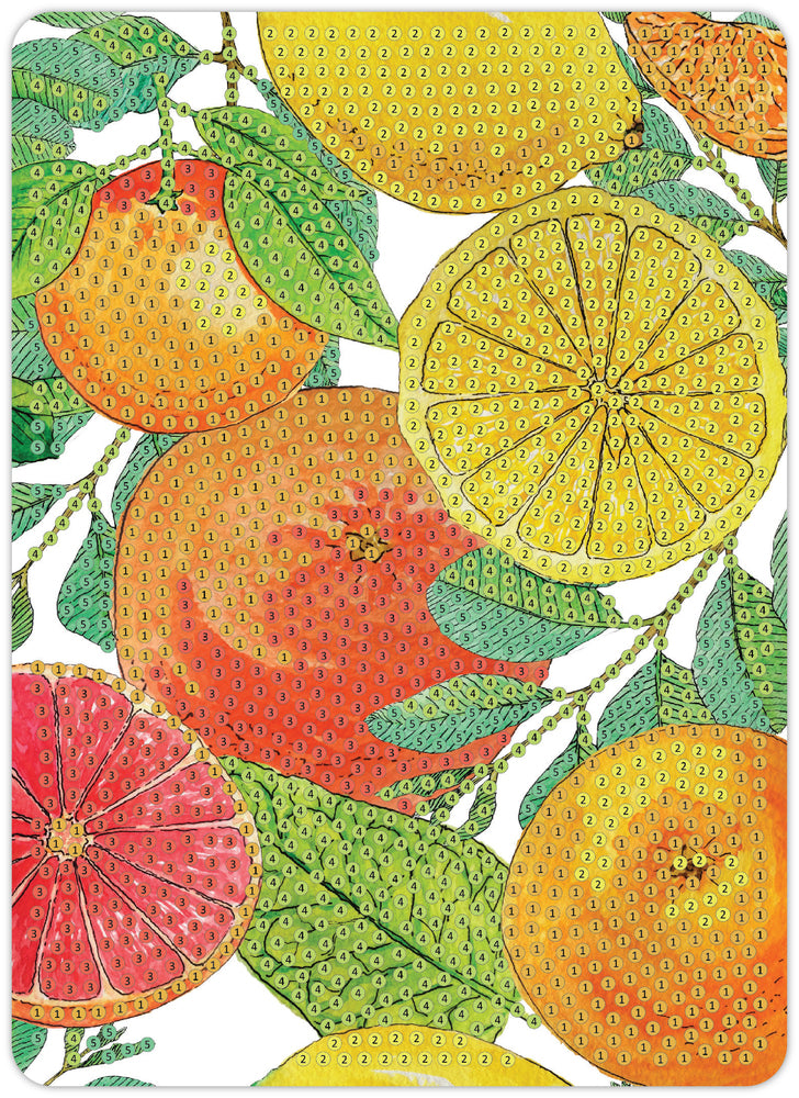 Diamond Art citrusfrugter 13 x 18 cm