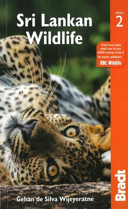 Sri Lankan Wildlife