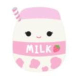Squishmallows 19 cm Asst