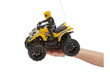 RC Quadbike NEW DUST RACER