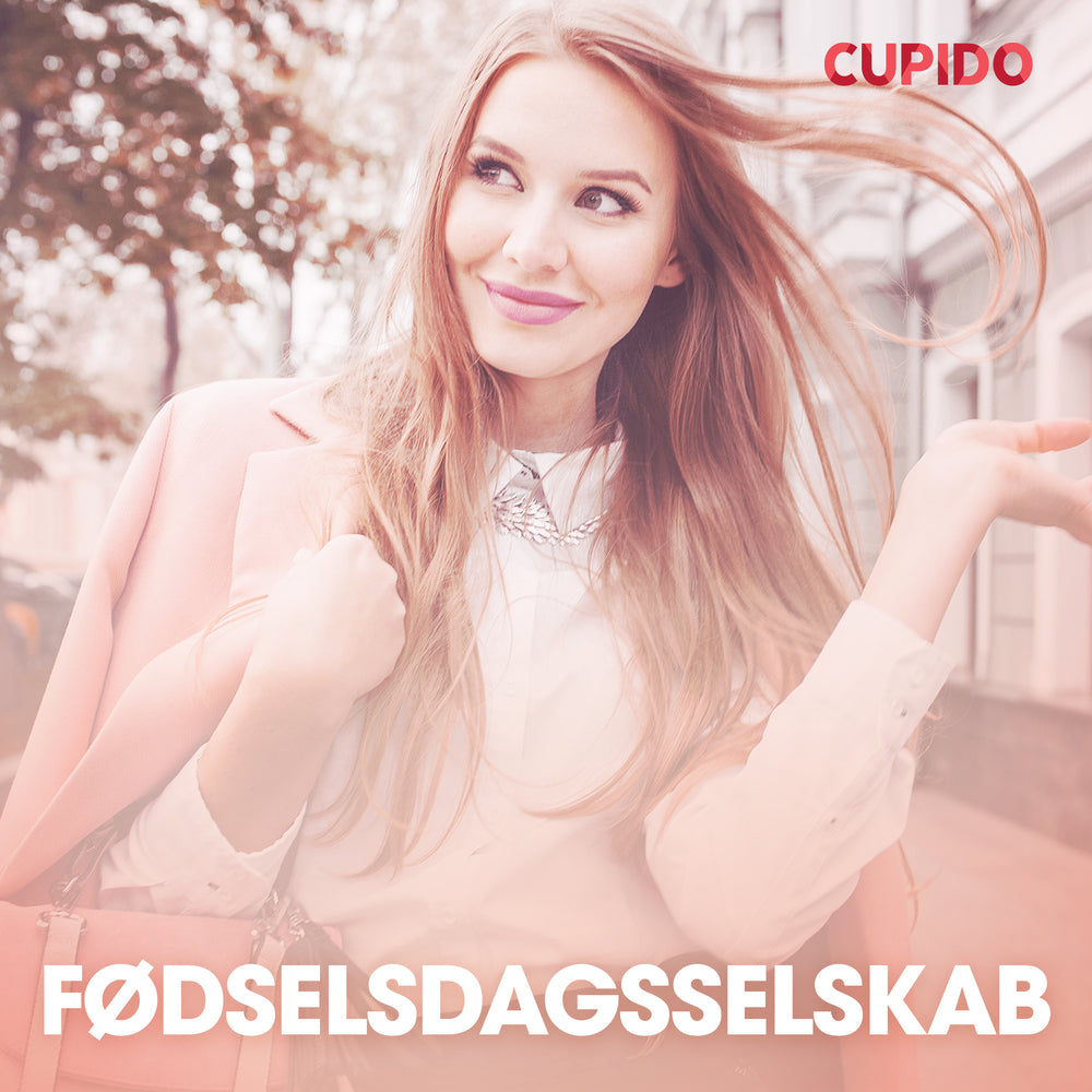 Fødselsdagsselskab – erotiske noveller
