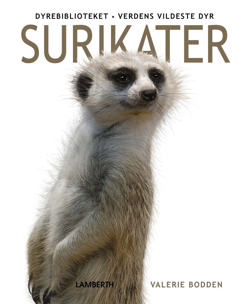 Surikater