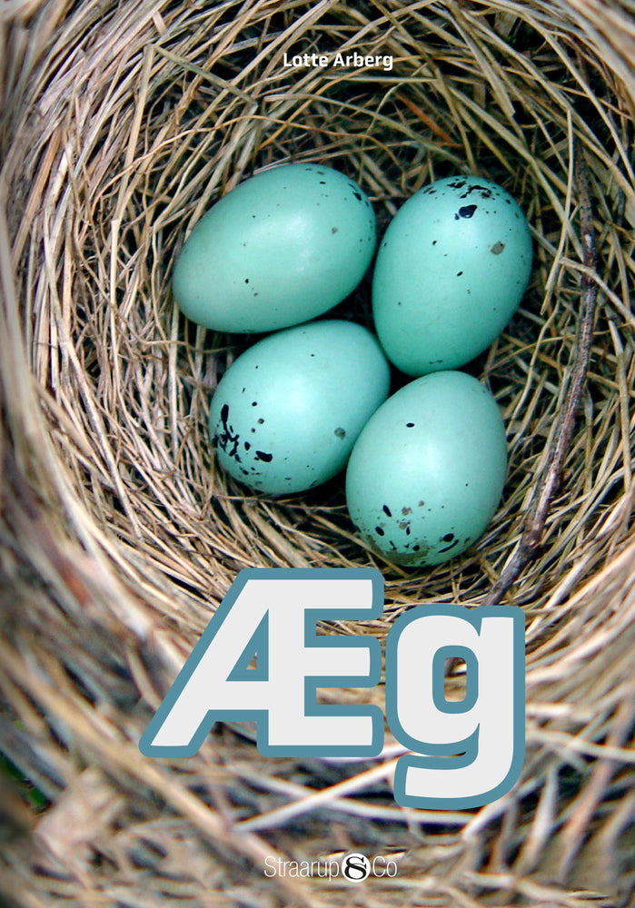 Æg