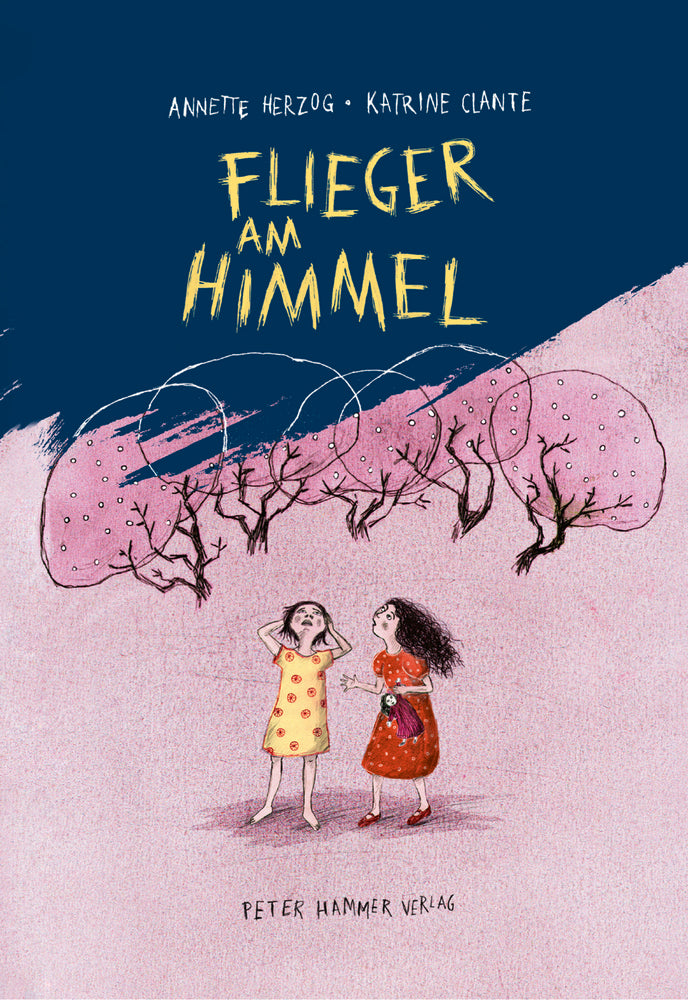 Flieger am Himmel